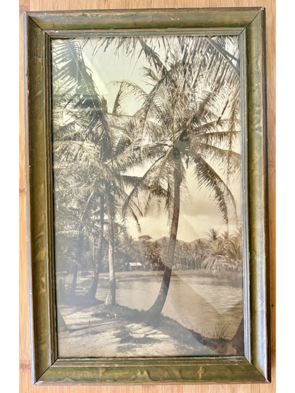 Vintage 1930s Framed Photograph of Hawaiian Shore Line With Palm Trees